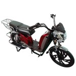 Factory direct sales of electric vehicles, the Demon Head Bailing King, with front and rear guardrails and dual reduction lead-acid battery/lithium battery electric vehicles