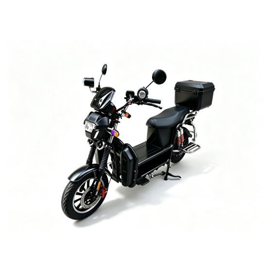 A new type of electric bicycle for household use, featuring iron sheet bikes, Golden bull headlights, square tailboxes, front and rear guardrails, and a heavy-duty model