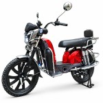 The Bailing King human-demon head electroplated front pocket without a central shaft crank and electroplated rear shock-absorbing household electric bicycle with 400W/800W motor