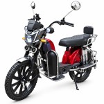 The Bailing King human-demon head electroplated front pocket without a central shaft crank and electroplated rear shock-absorbing household electric bicycle with 400W/800W motor
