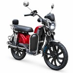 The Bailing King human-demon head electroplated front pocket without a central shaft crank and electroplated rear shock-absorbing household electric bicycle with 400W/800W motor