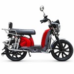 The Bailing King human-demon head electroplated front pocket without a central shaft crank and electroplated rear shock-absorbing household electric bicycle with 400W/800W motor