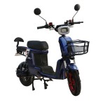 动力型家用/外卖/载货电动自行车800W电机锂电池