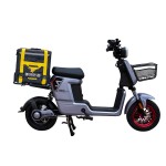 动力型家用/外卖/载货电动自行车800W电机锂电池