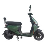 新款动力型家用/外卖/载货电动自行车400W/800W电机锂电池