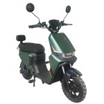 新款动力型家用/外卖/载货电动自行车400W/800W电机锂电池