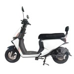 新款动力型家用/外卖/载货电动自行车400W/800W电机锂电池