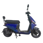 新款动力型家用/外卖/载货电动自行车400W/800W电机锂电池