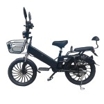 20寸胖胎一体轮电动自行车蓝牙音箱350W锂电池电动车