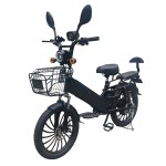 20寸胖胎一体轮电动自行车蓝牙音箱350W锂电池电动车