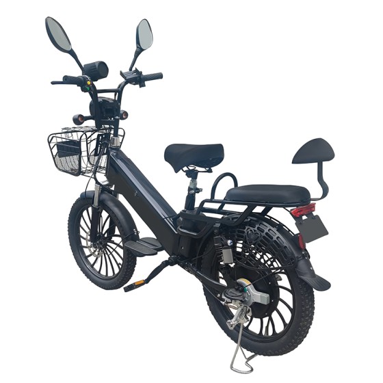 20寸胖胎一体轮电动自行车蓝牙音箱350W锂电池电动车