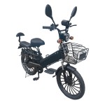 20寸胖胎一体轮电动自行车蓝牙音箱350W锂电池电动车