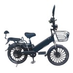 20寸胖胎一体轮电动自行车蓝牙音箱350W锂电池电动车