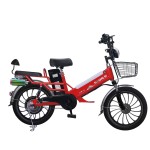 20寸双电池肥胎一体轮蓝牙音箱电动自行车350W无刷无齿轮电机锂电池