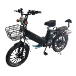 20寸双电池肥胎一体轮蓝牙音箱电动自行车350W无刷无齿轮电机锂电池