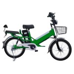 20寸双电池辐条轮加大肥胎电动自行车350W无刷有齿轮电机锂电池