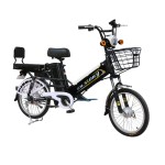 20寸双电池辐条轮长途电动自行车350W无刷有齿轮电机锂电池