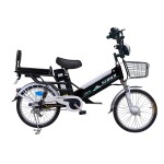 20寸双电池辐条轮长途电动自行车350W无刷有齿轮电机锂电池