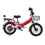 20寸一体轮350W无刷无齿轮电机锂电池电动自行车