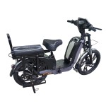 22寸百灵王分体座椅载重款动力型家用电动自行车400W/800W电机