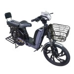 22寸百灵王分体座椅载重款动力型家用电动自行车400W/800W电机