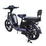 22寸百灵王分体座椅载重款动力型家用电动自行车400W/800W电机