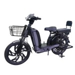 22寸百灵王分体座椅载重款动力型家用电动自行车400W/800W电机