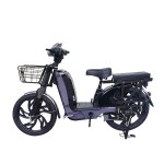 22寸百灵王分体座椅载重款动力型家用电动自行车400W/800W电机