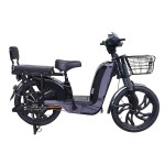 22寸百灵王分体座椅载重款动力型家用电动自行车400W/800W电机