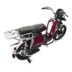 22寸百灵王新款车头后护栏载重款动力型家用电动自行车400W/800W电机