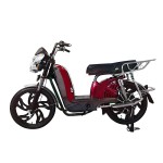 22寸百灵王新款车头后护栏载重款动力型家用电动自行车400W/800W电机