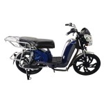 22寸百灵王新款车头后护栏载重款动力型家用电动自行车400W/800W电机