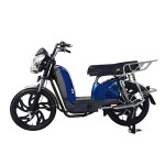 22寸百灵王新款车头后护栏载重款动力型家用电动自行车400W/800W电机