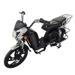 22寸百灵王新款车头后护栏载重款动力型家用电动自行车400W/800W电机