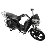 22寸百灵王新款车头后护栏载重款动力型家用电动自行车400W/800W电机