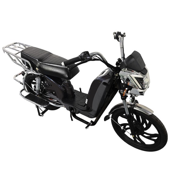22寸百灵王新款车头后护栏载重款动力型家用电动自行车400W/800W电机