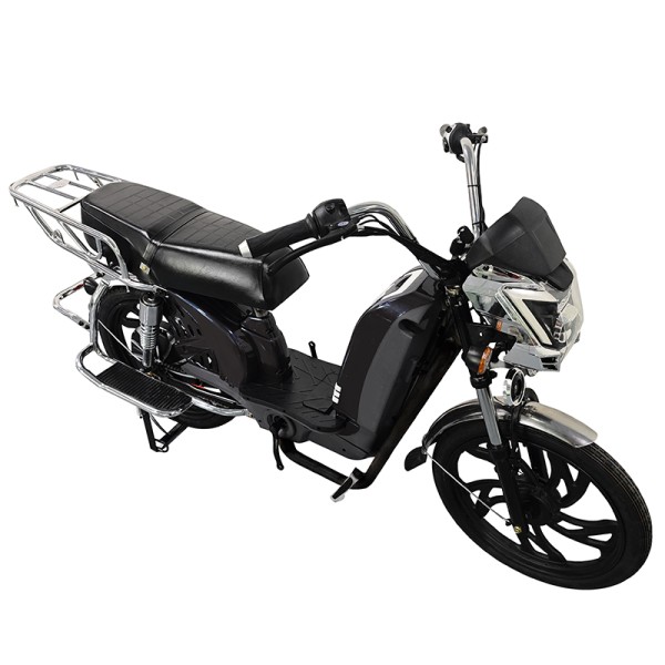 22寸百灵王新款车头后护栏载重款动力型家用电动自行车400W/800W电机