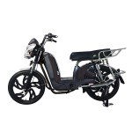 22寸百灵王新款车头后护栏载重款动力型家用电动自行车400W/800W电机
