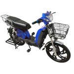 22寸百灵王载重款动力型家用电动自行车400W/800W电机