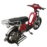 22寸百灵王载重款动力型家用电动自行车400W/800W电机