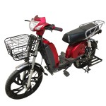 22寸百灵王载重款动力型家用电动自行车400W/800W电机
