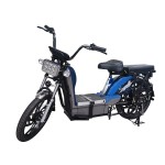 22寸黄金甲分体座椅载重款动力型家用电动自行车400W/800W电机