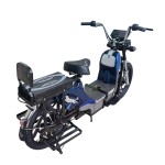 22寸黄金甲分体座椅载重款动力型家用电动自行车400W/800W电机