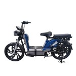 22寸黄金甲分体座椅载重款动力型家用电动自行车400W/800W电机