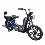 22寸黄金甲分体座椅载重款动力型家用电动自行车400W/800W电机