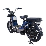 22寸黄金甲分体座椅载重款动力型家用电动自行车400W/800W电机